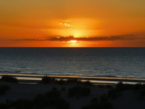 WhatsApp Image 2025-10-17 à 11.01.07_80294010